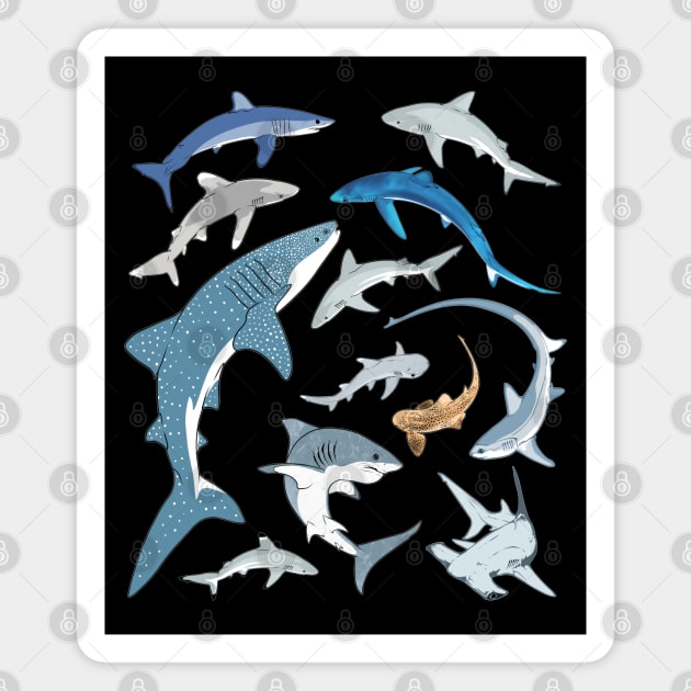 Whale Shark Blue Shark Mako Shark Species Magnet by NicGrayTees